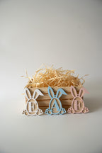 Initial Bunny Tag