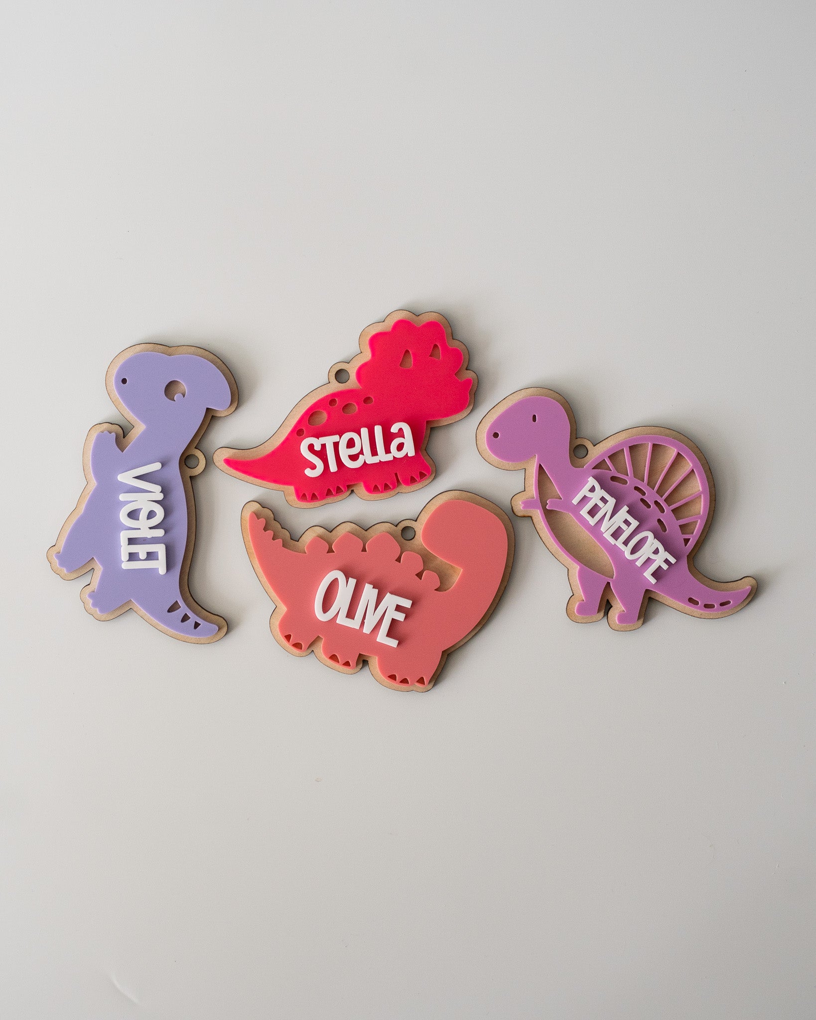 Dinosaur Name Tag #2