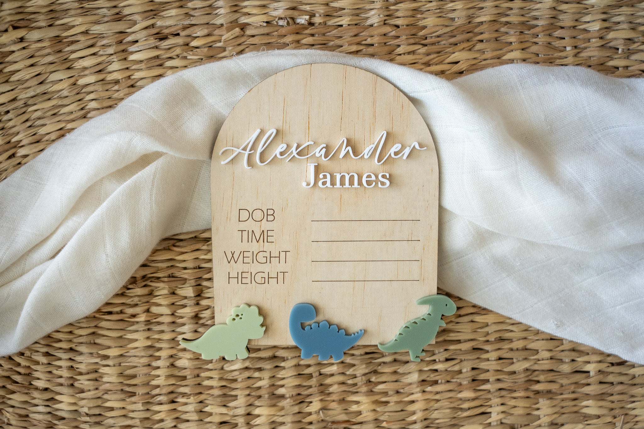 Dinosaur Birth Announcement Plaque