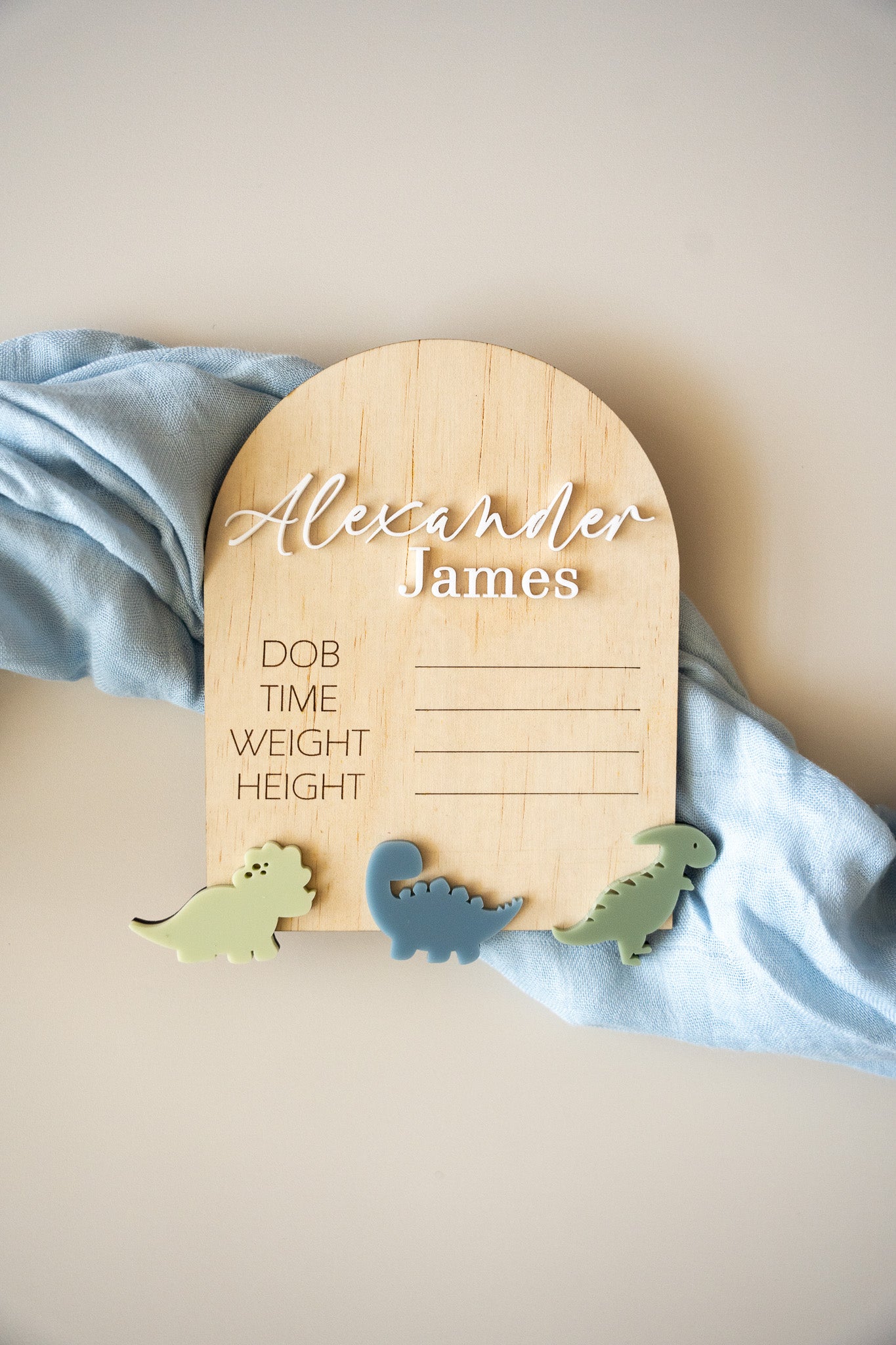 Dinosaur Birth Announcement Plaque