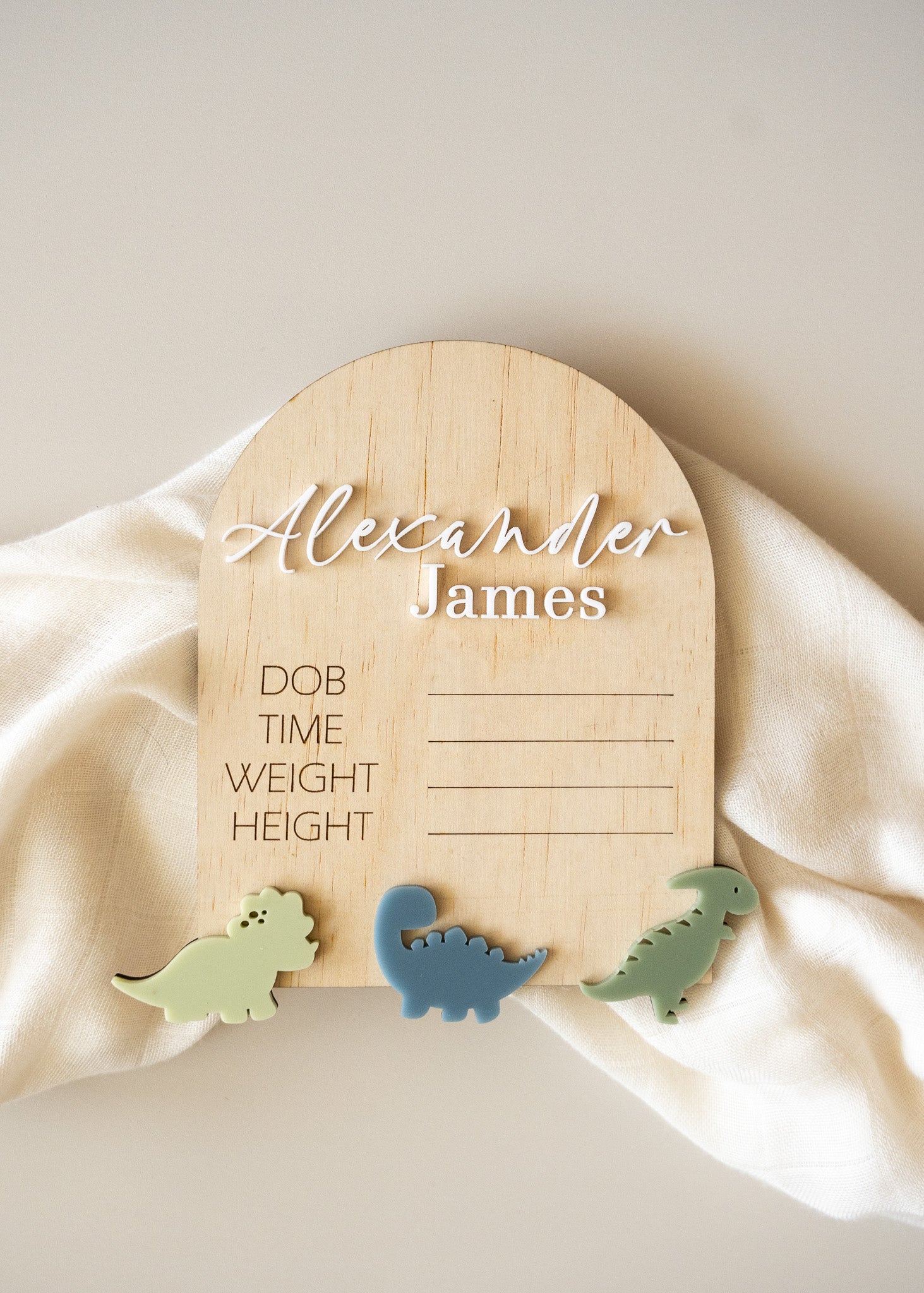 Dinosaur Birth Announcement Plaque