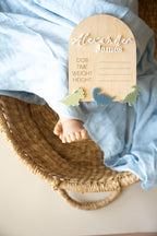 Dinosaur Birth Announcement Plaque