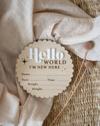 'Hello World' Baby Announcement plaque