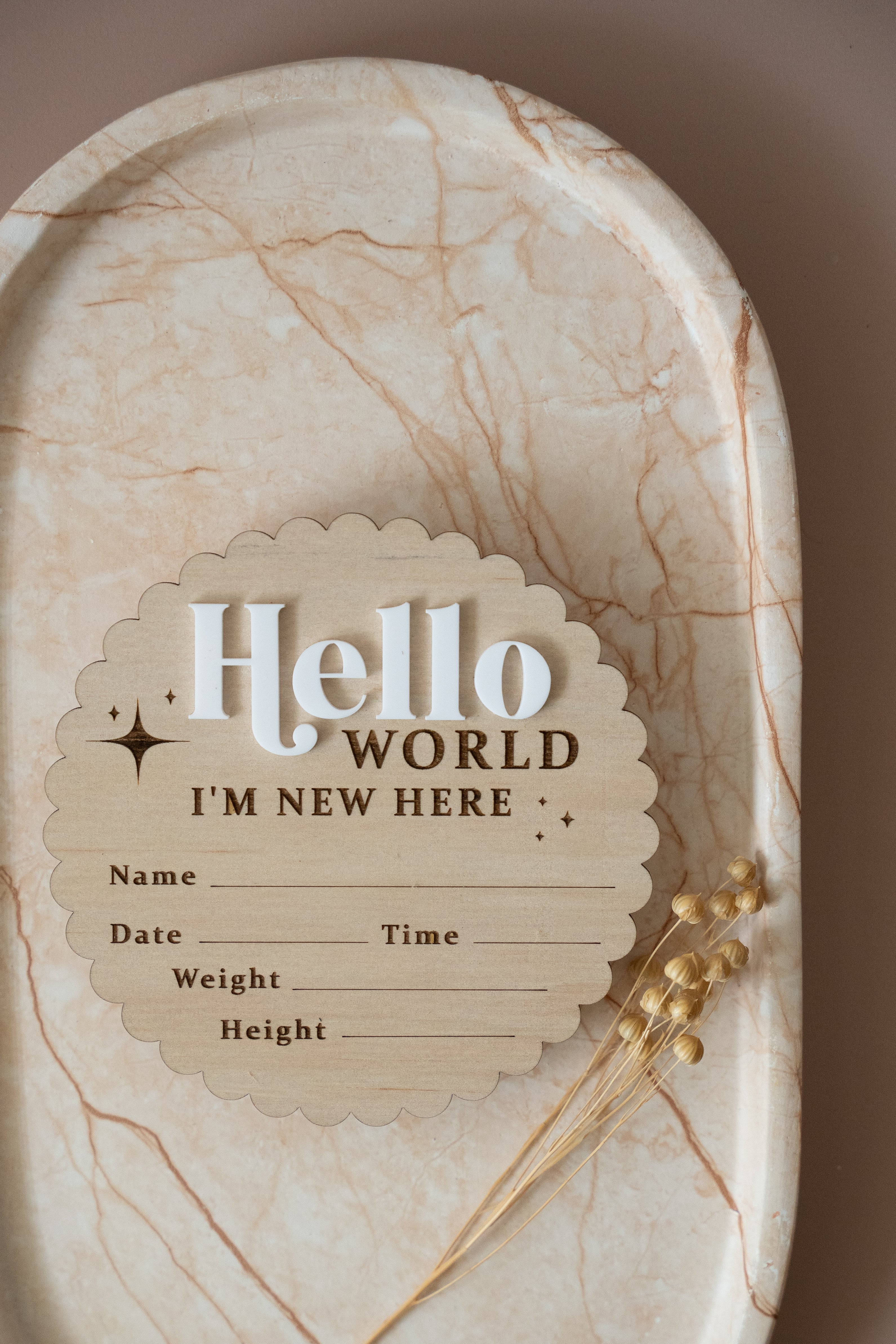 'Hello World' Baby Announcement plaque