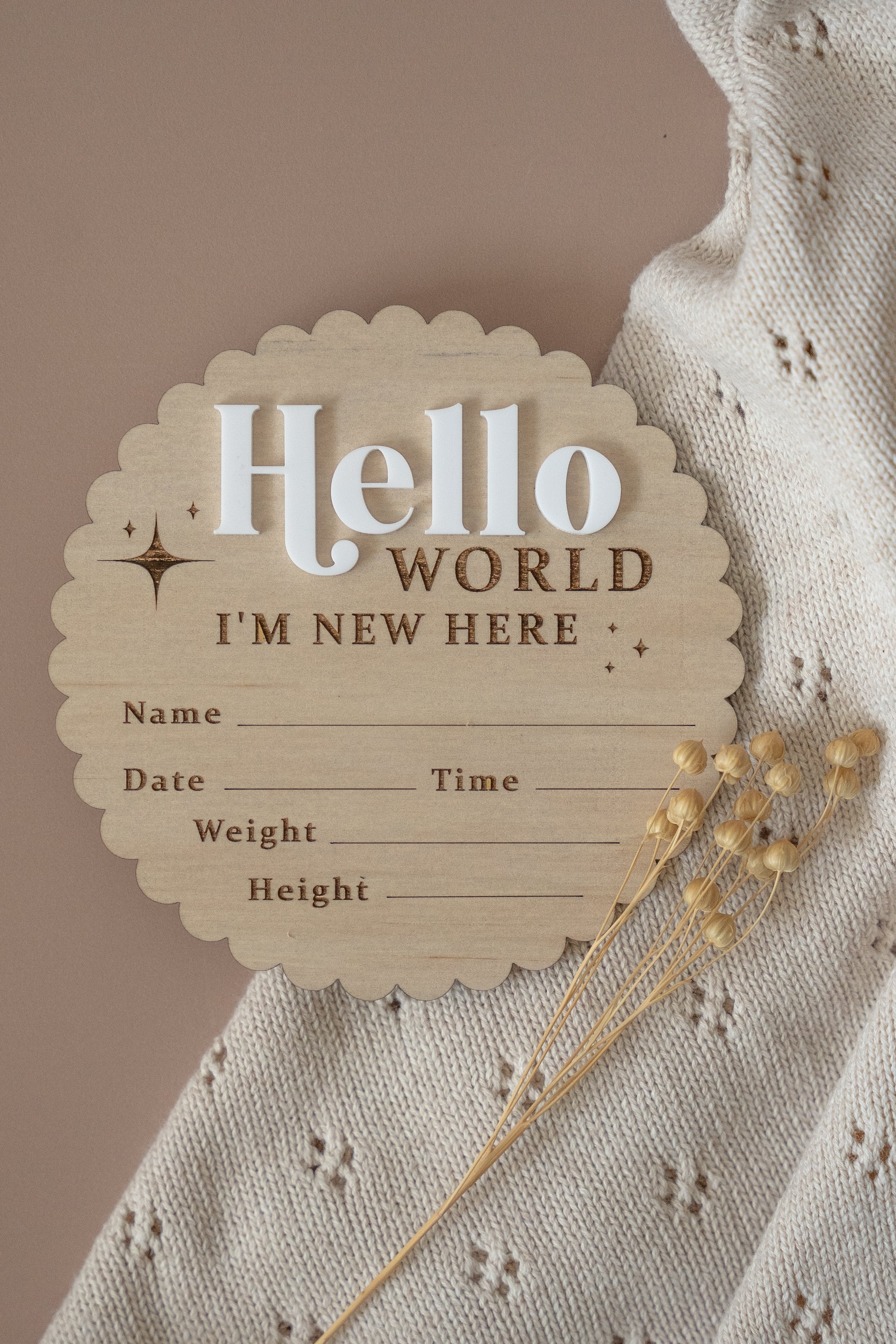 'Hello World' Baby Announcement plaque