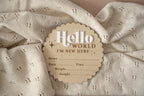 'Hello World' Baby Announcement plaque