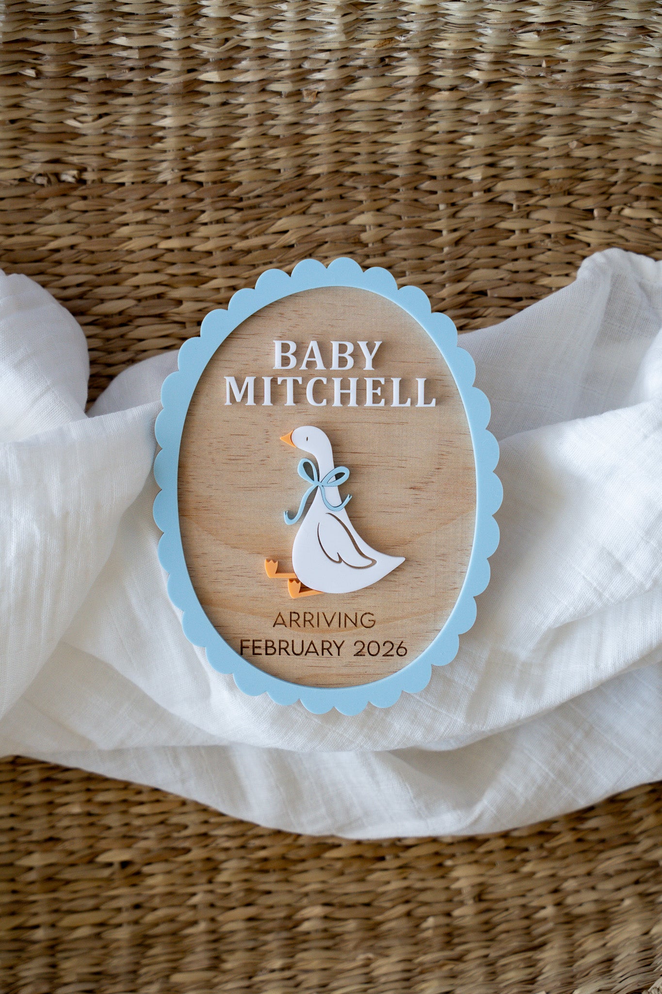 Silly Goose Baby Announcement Plaque