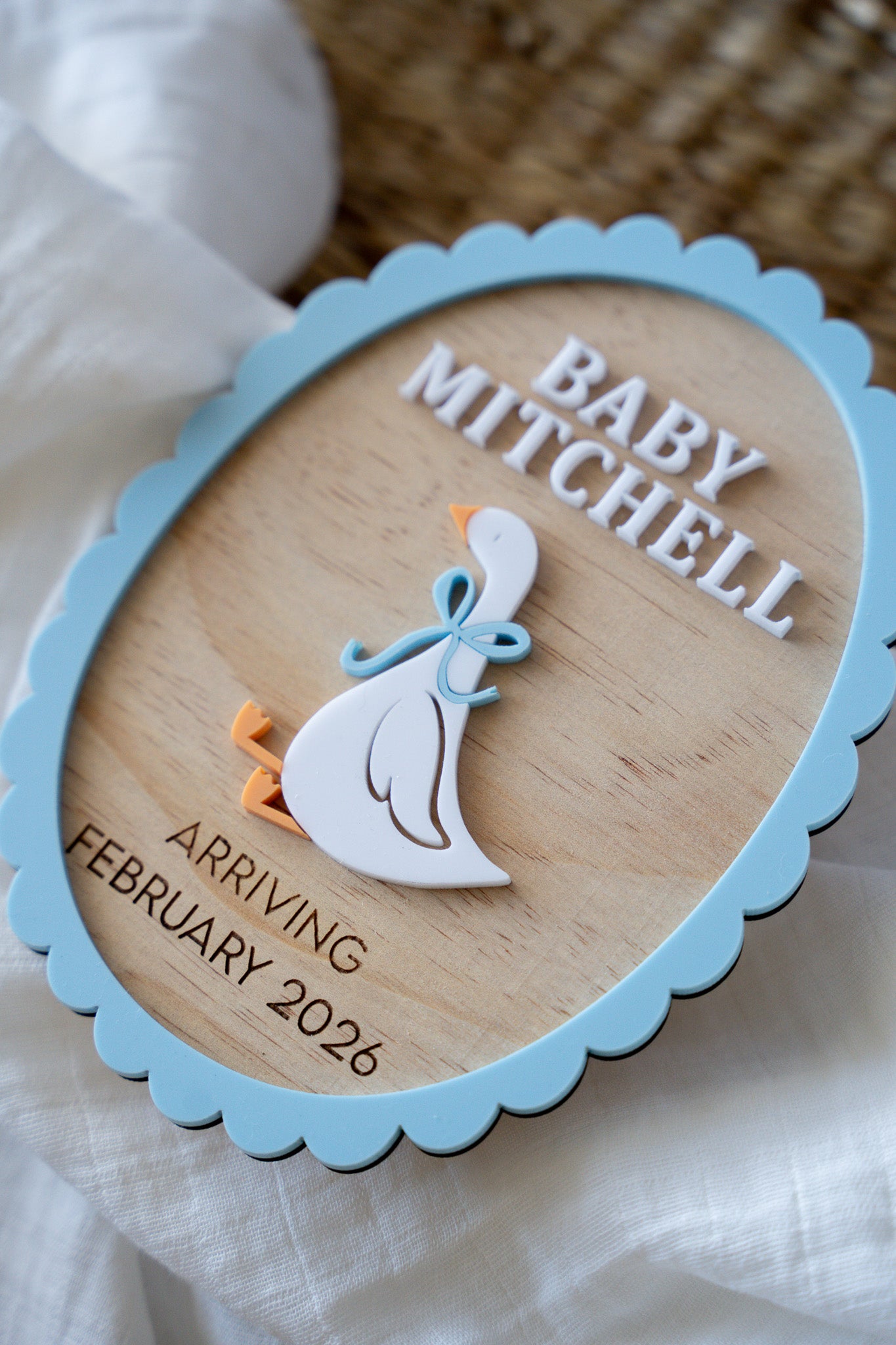 Silly Goose Baby Announcement Plaque
