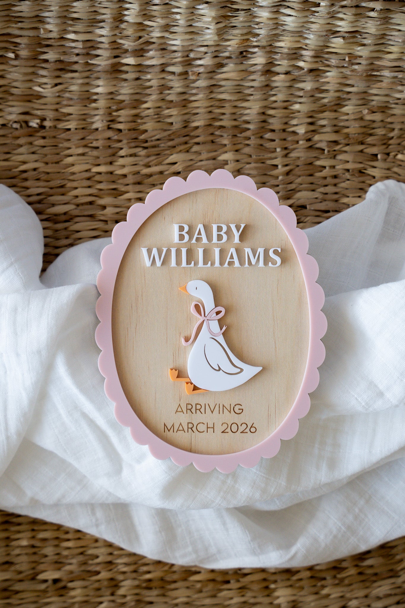 Silly Goose Baby Announcement Plaque