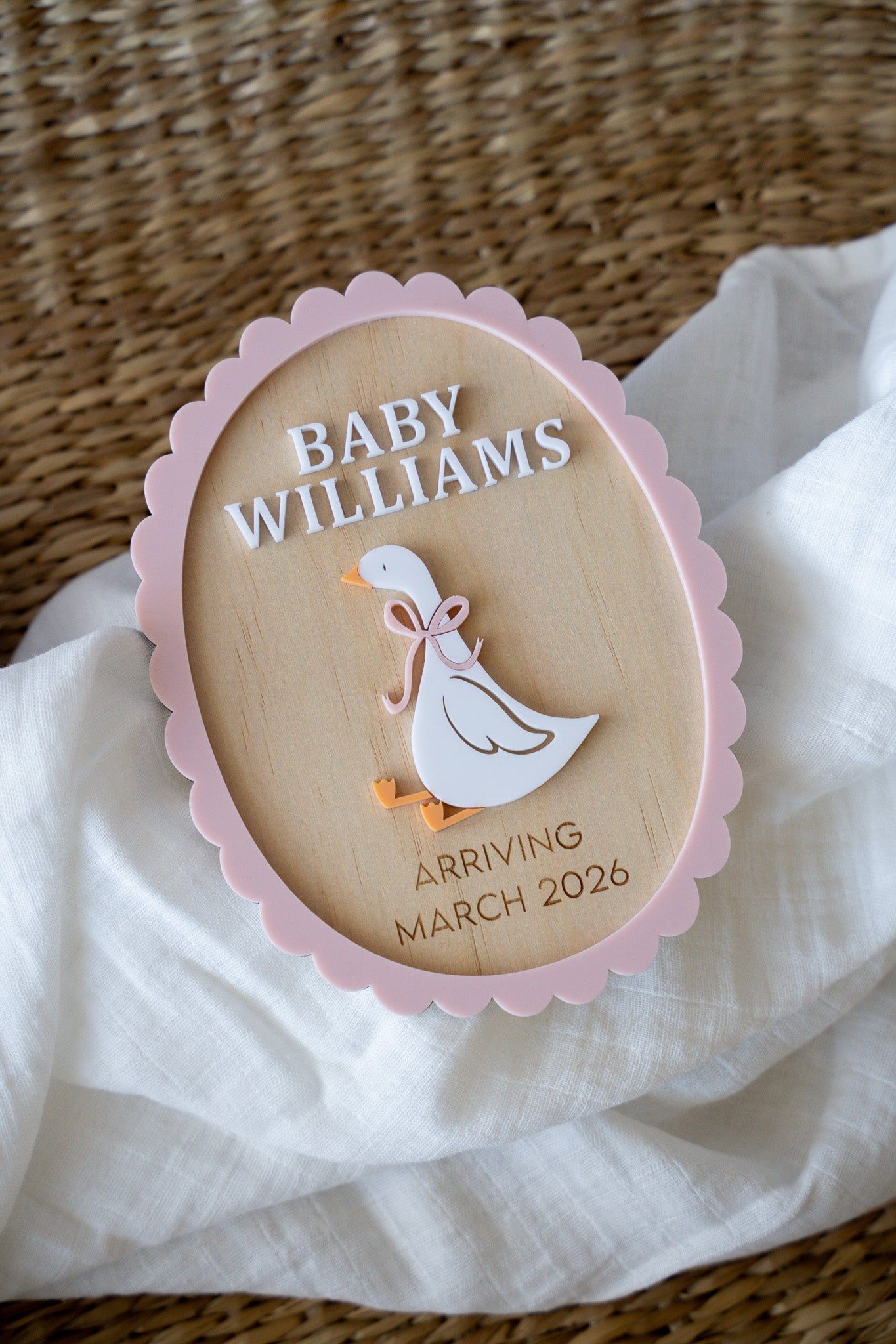 Silly Goose Baby Announcement Plaque