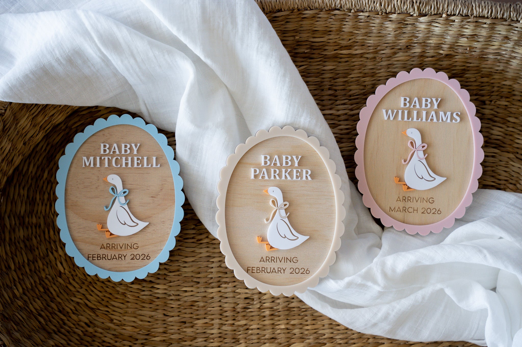 Silly Goose Baby Announcement Plaque