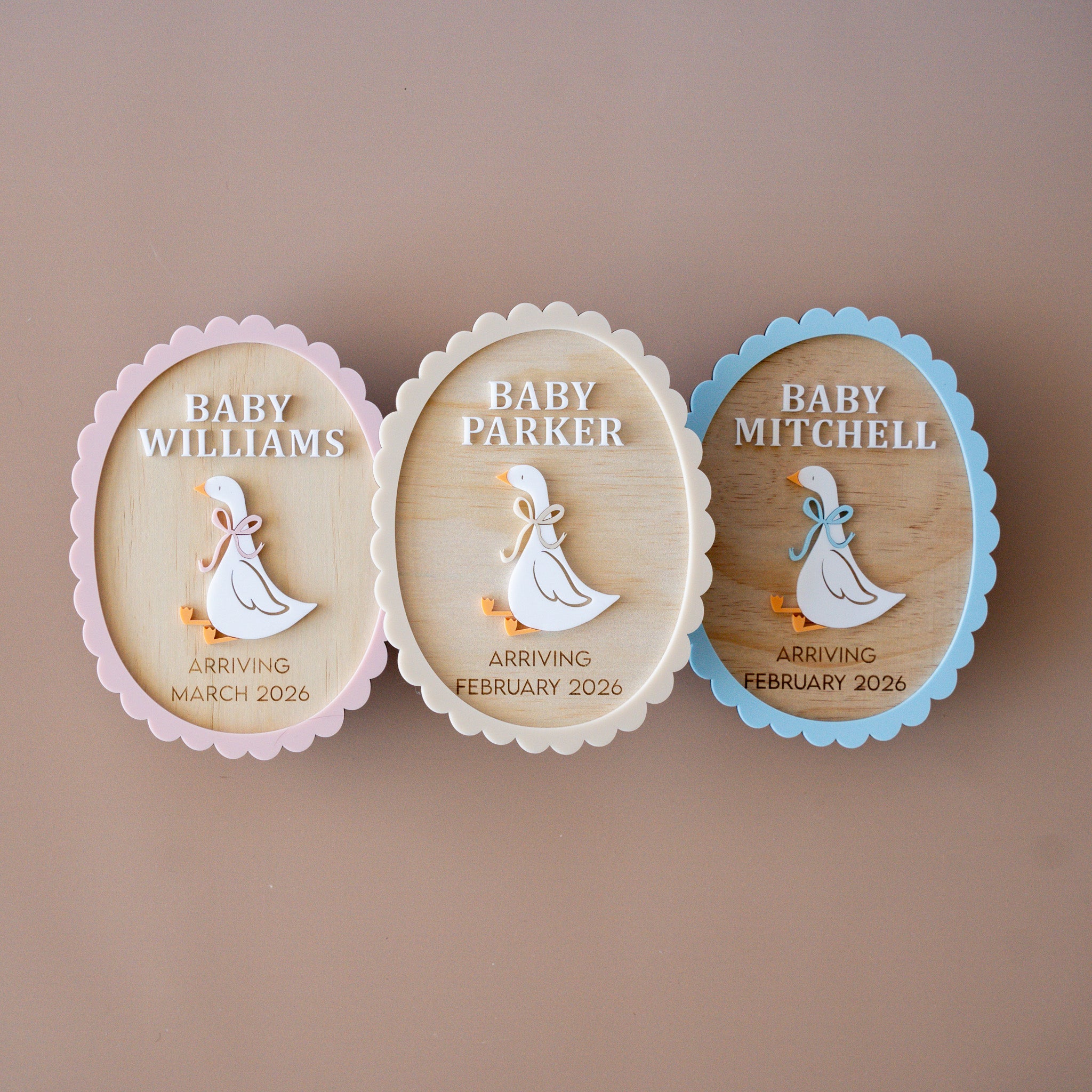 Silly Goose Baby Announcement Plaque