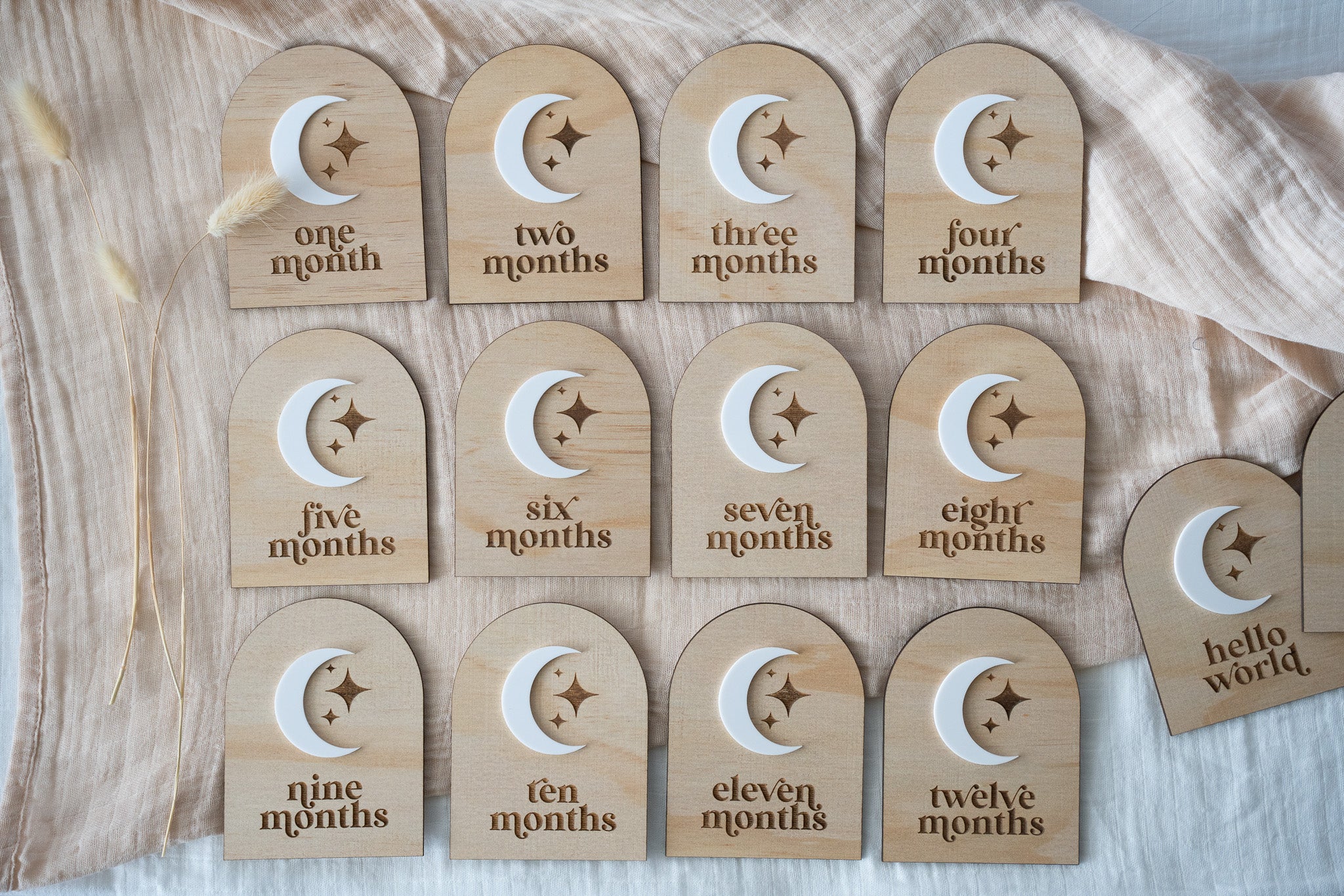 Moon 12 Month Milestone Signs