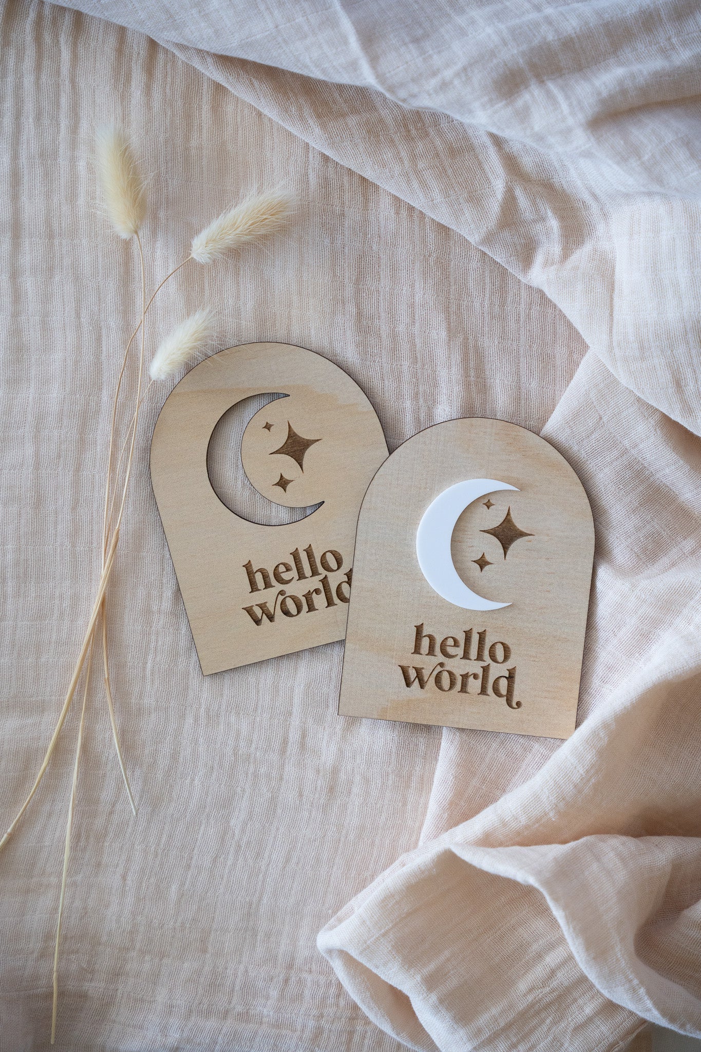 Moon 12 Month Milestone Signs