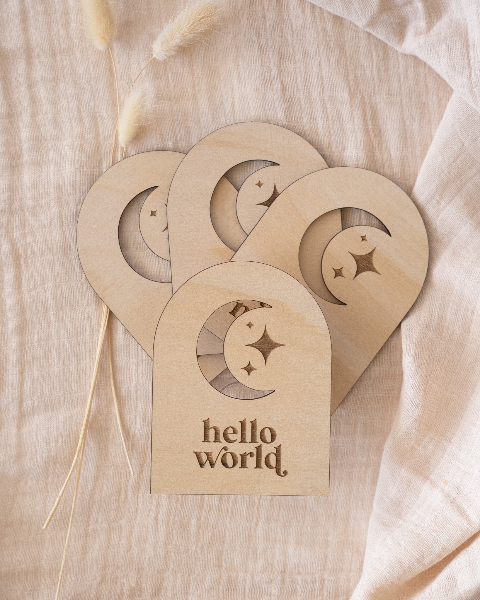 Moon 12 Month Milestone Signs