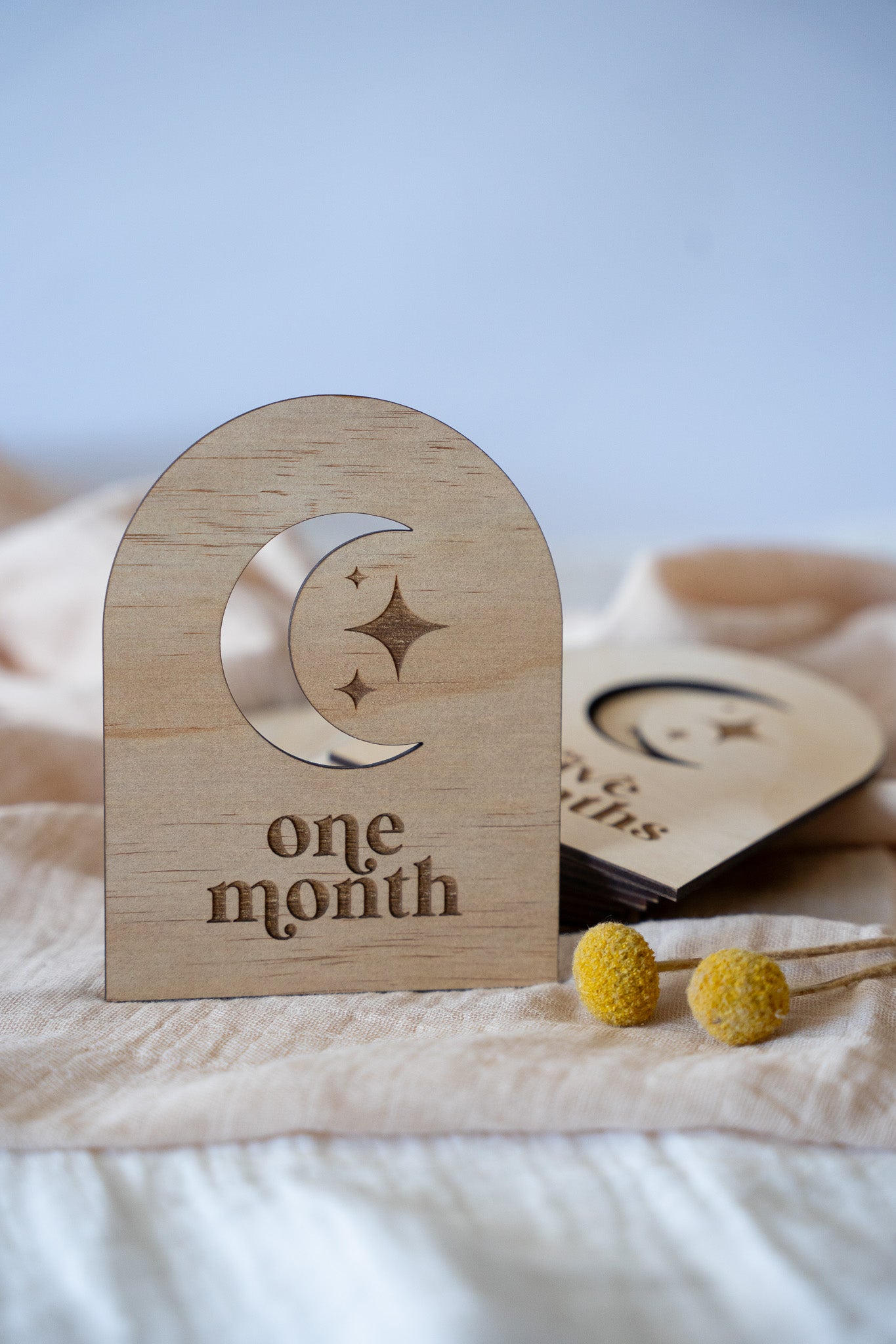 Moon 12 Month Milestone Signs