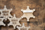 Sheriff badges
