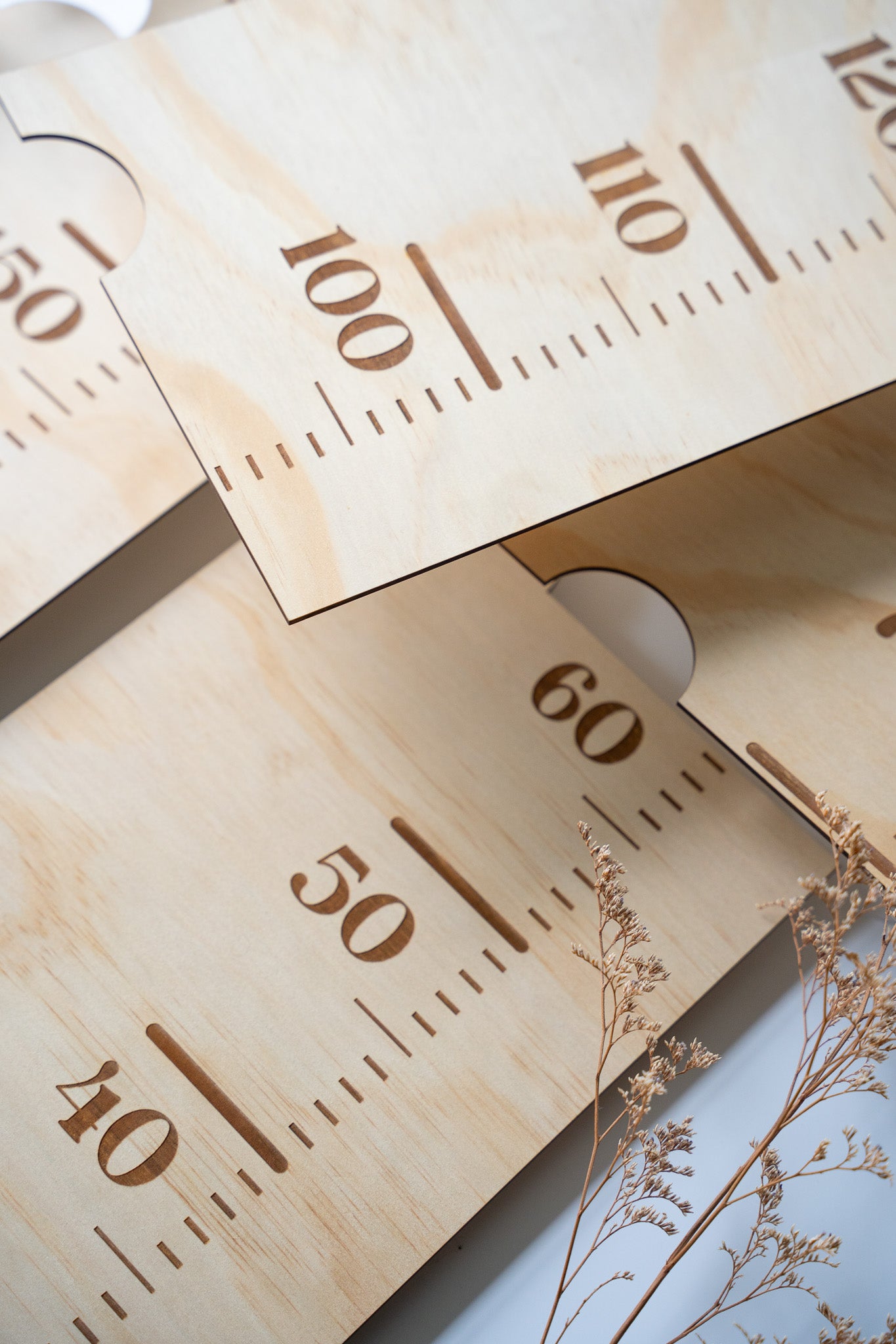Family Height Chart Ruler