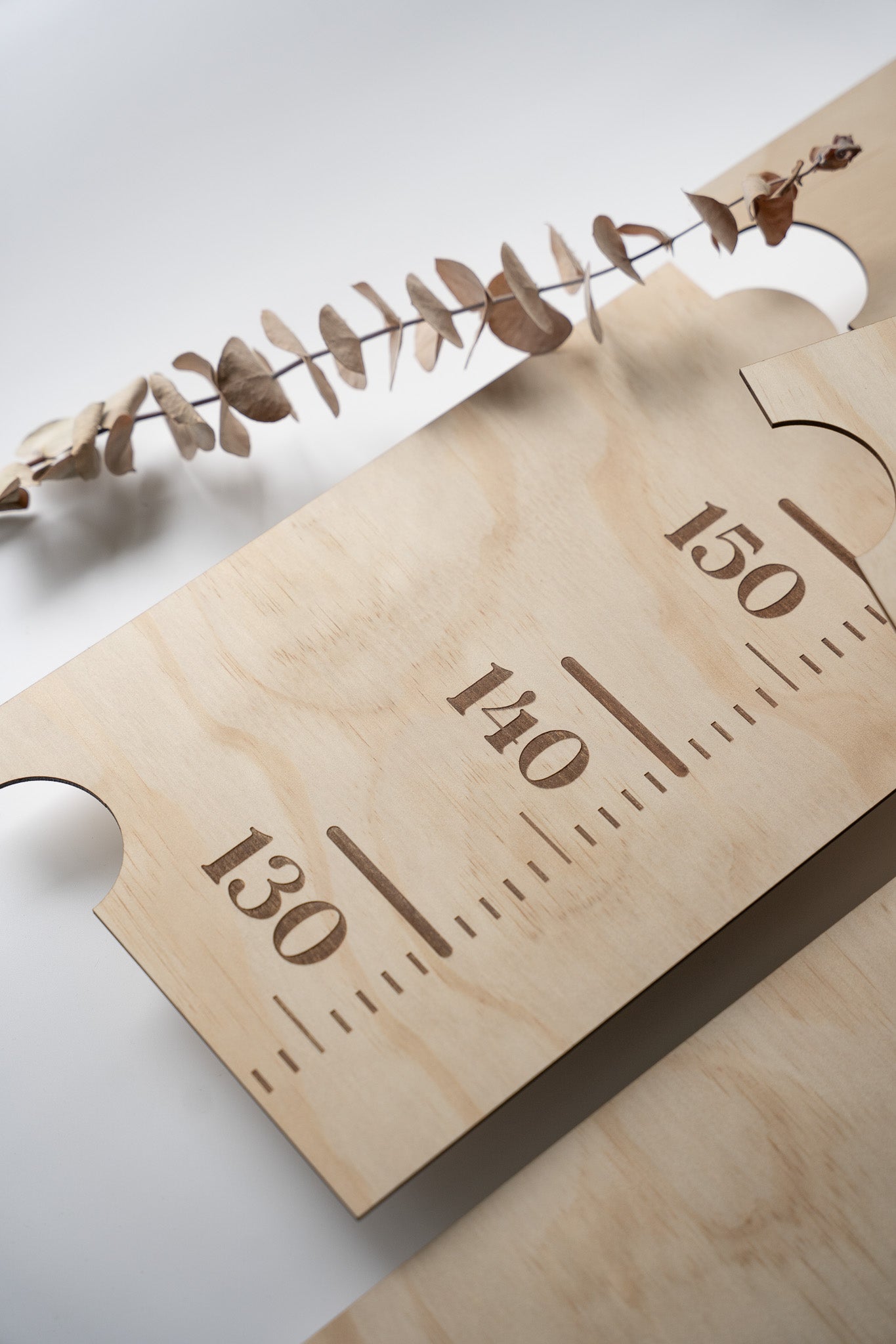 Family Height Chart Ruler