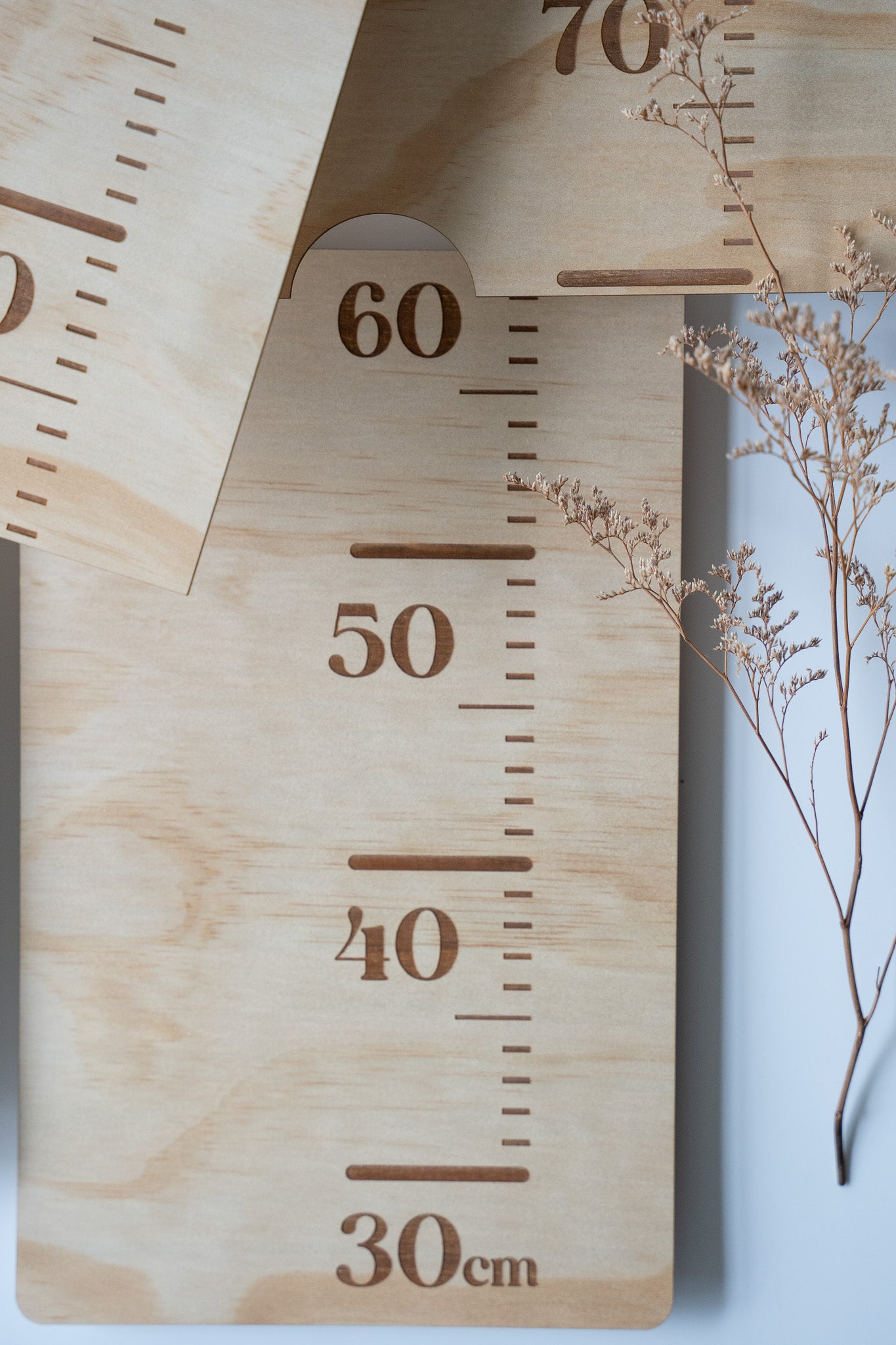 Family Height Chart Ruler